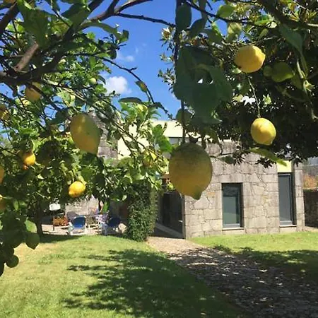 Dom wakacyjny Casa Do Murungal